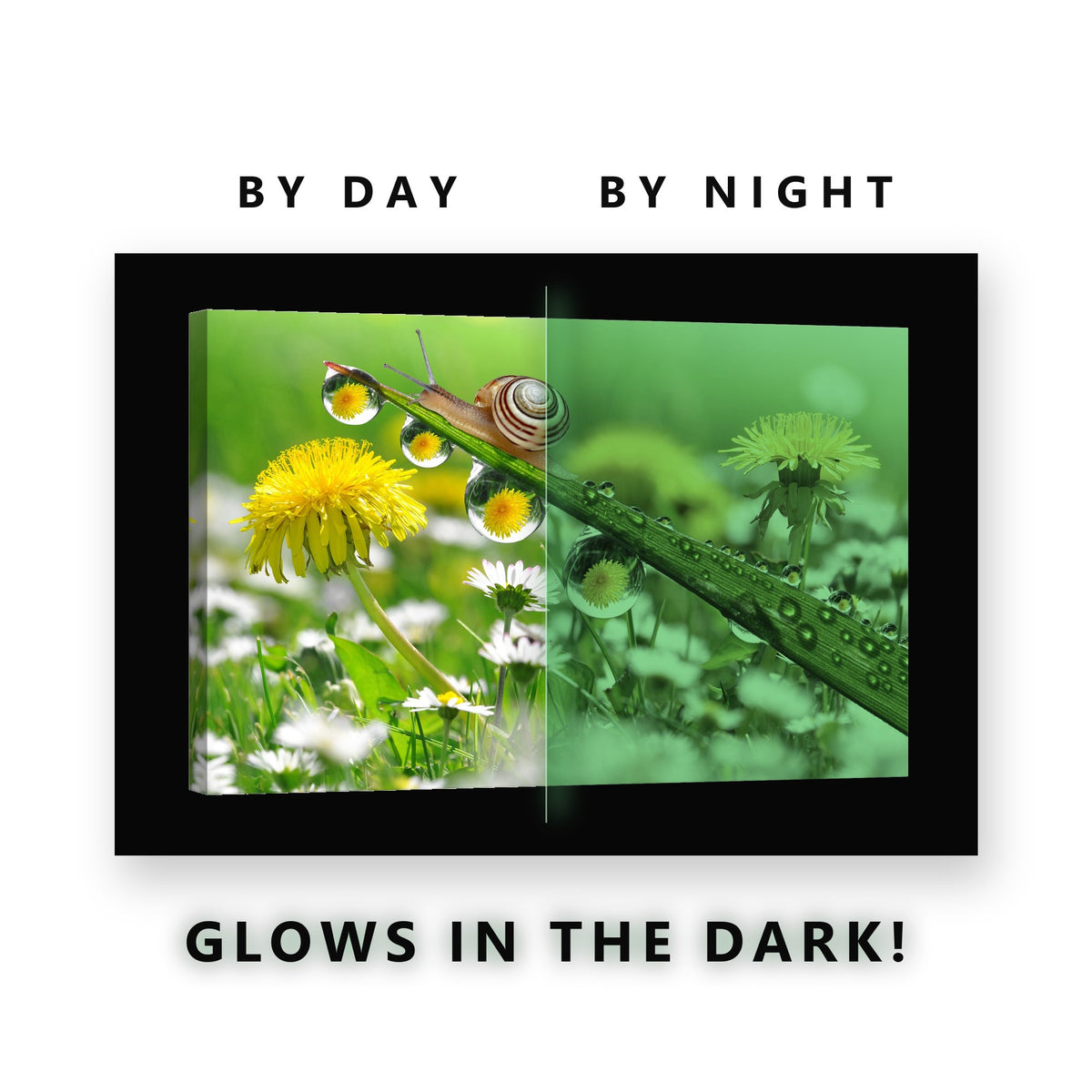 Snail on a Dewy Grass Blade Glow in the Dark Canvas Wall Art Kids Room, glowing at night