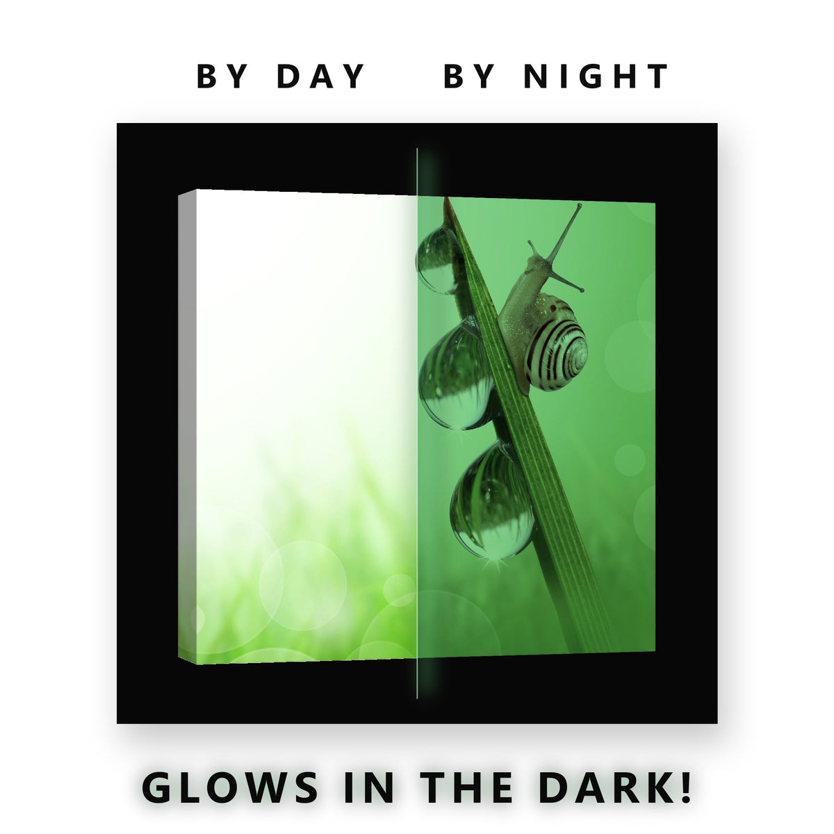 Snail and Dew Drops on Grass Glow in the Dark Canvas Wall Art Kids Room, glowing at night
