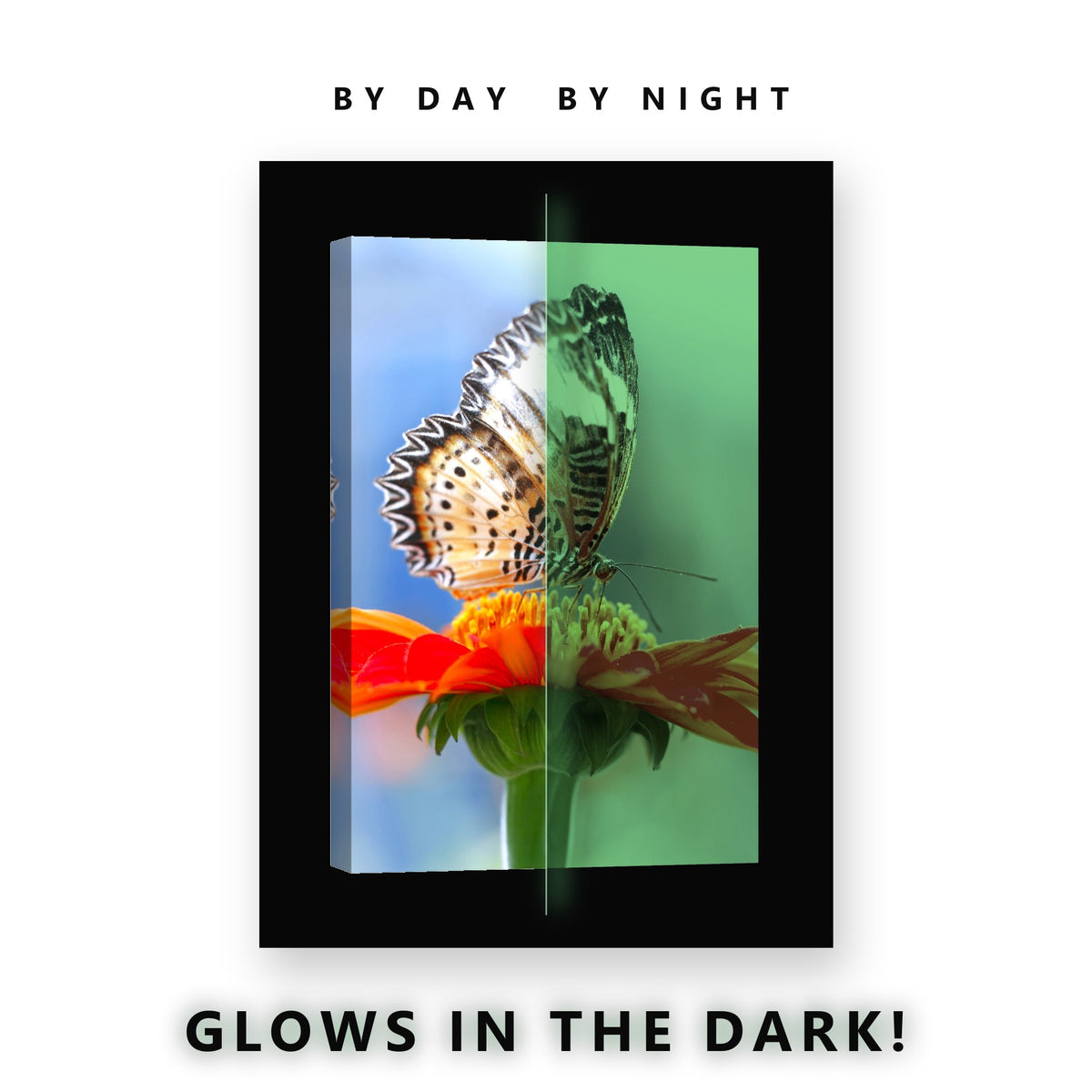 Lacewing Butterfly on a Flower Glow in the Dark Canvas Wall Art Kids Room, glowing at night