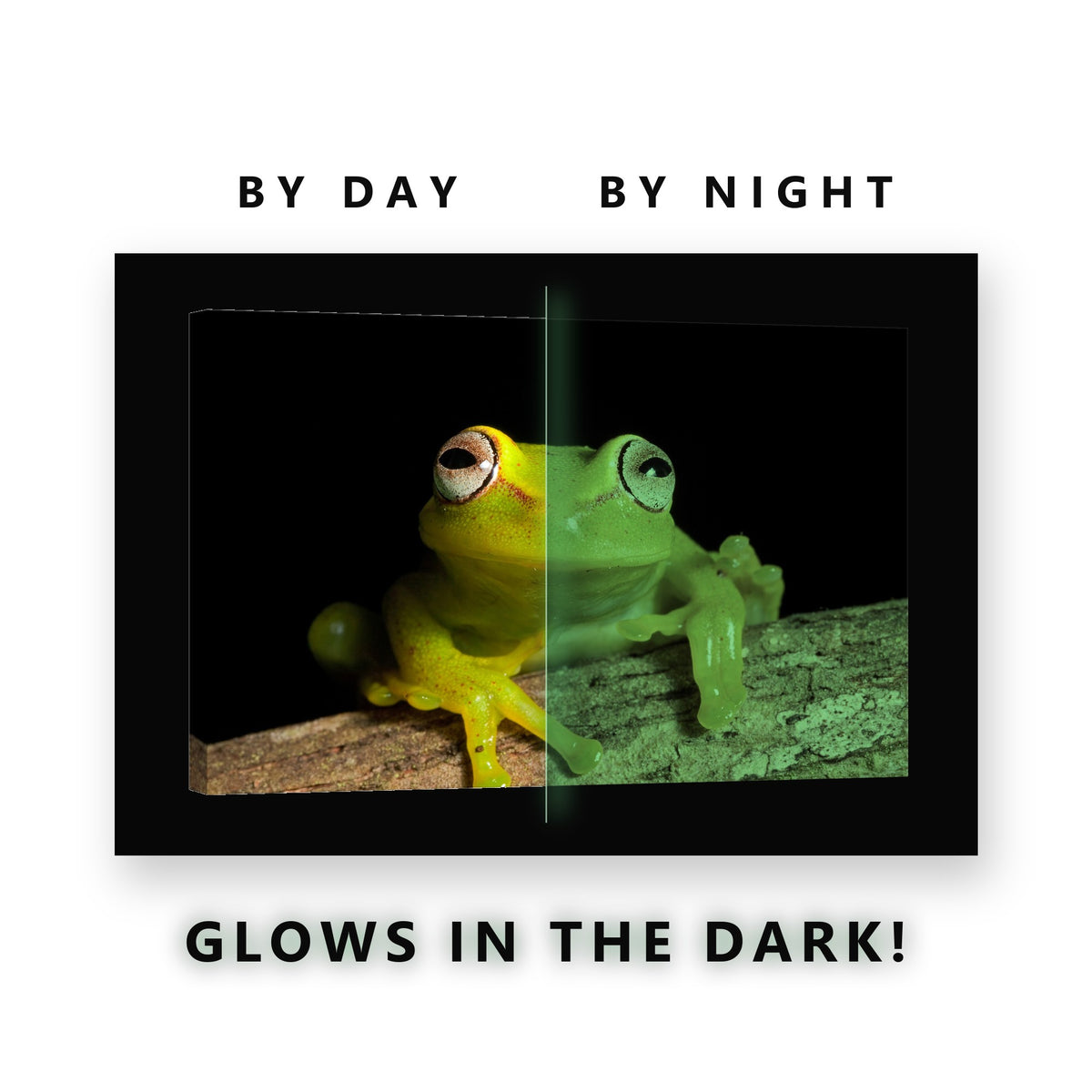 Green Tree Frog on a Branch Glow in the Dark Canvas Wall Art Kids Room, glowing at night