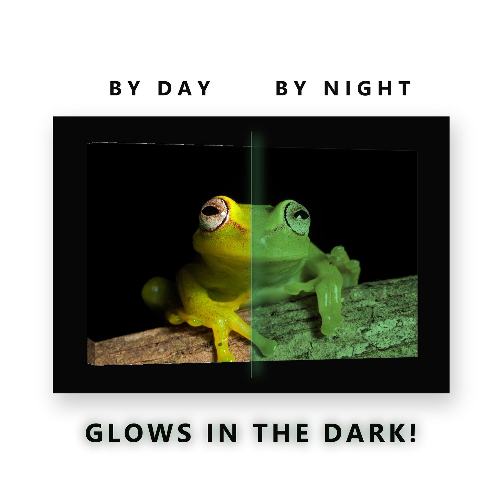 Green Tree Frog on a Branch Glow in the Dark Canvas Wall Art Kids Room, glowing at night