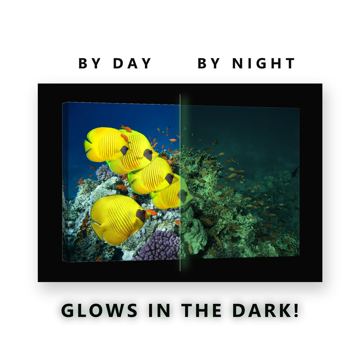 Butterflyfish School on Coral Glow in the Dark Canvas Wall Art Bathroom, glowing at night