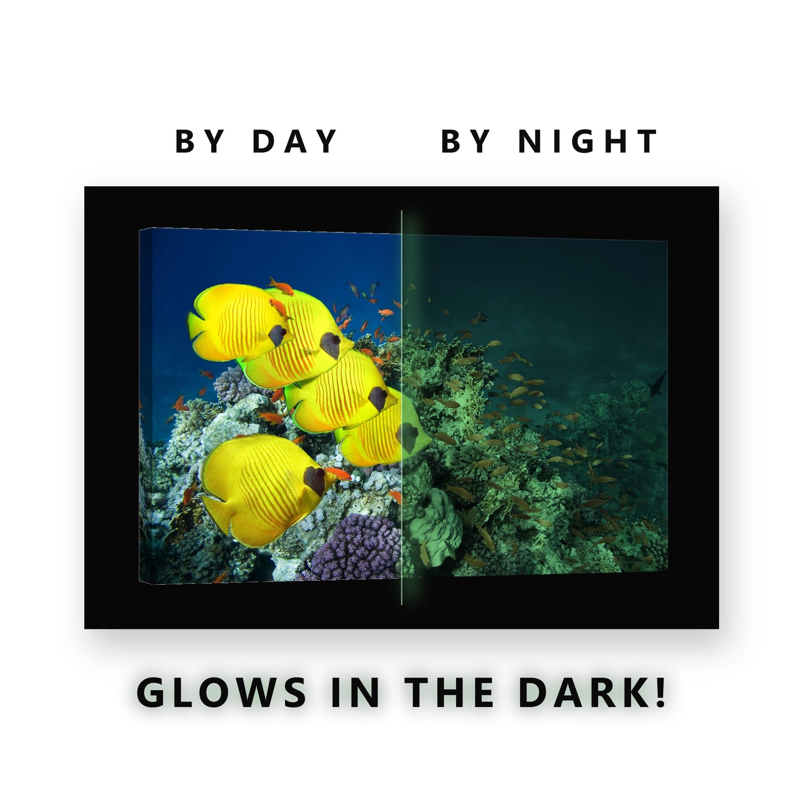 Butterflyfish School on Coral Glow in the Dark Canvas Wall Art Bathroom, glowing at night