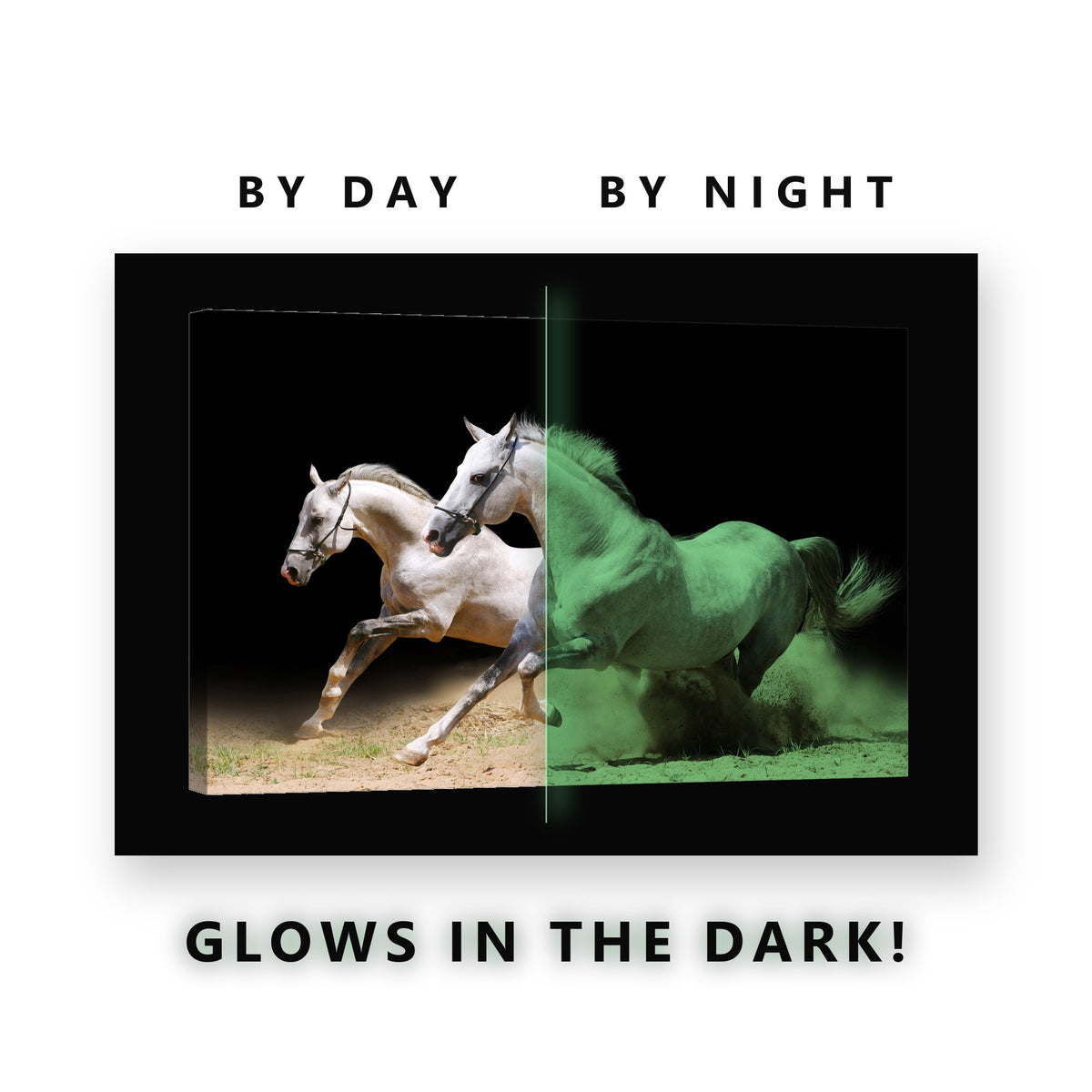 Two White Horses Galloping Glow in the Dark Canvas Wall Art Living Room, glowing at night