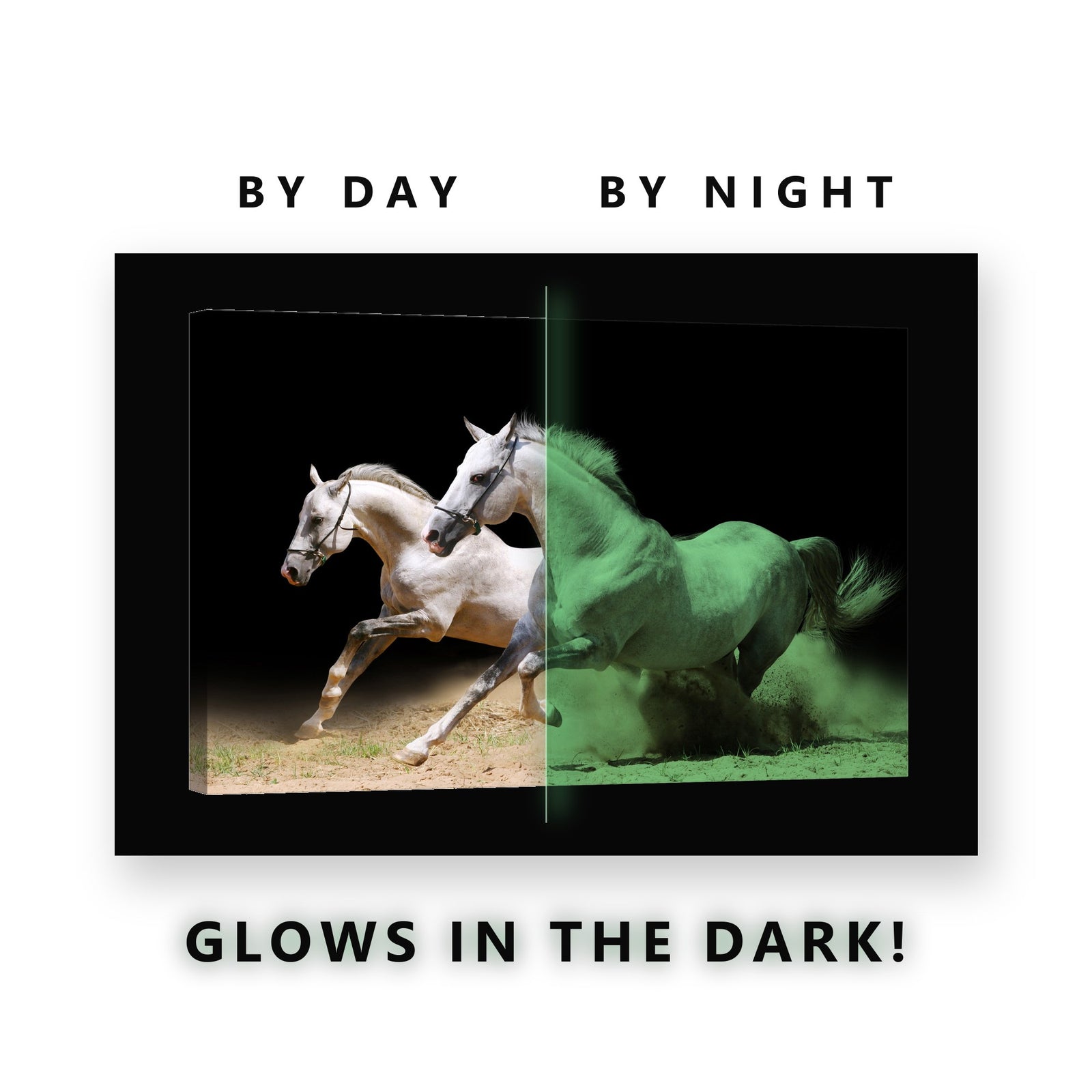 Two White Horses Galloping Glow in the Dark Canvas Wall Art Living Room, glowing at night
