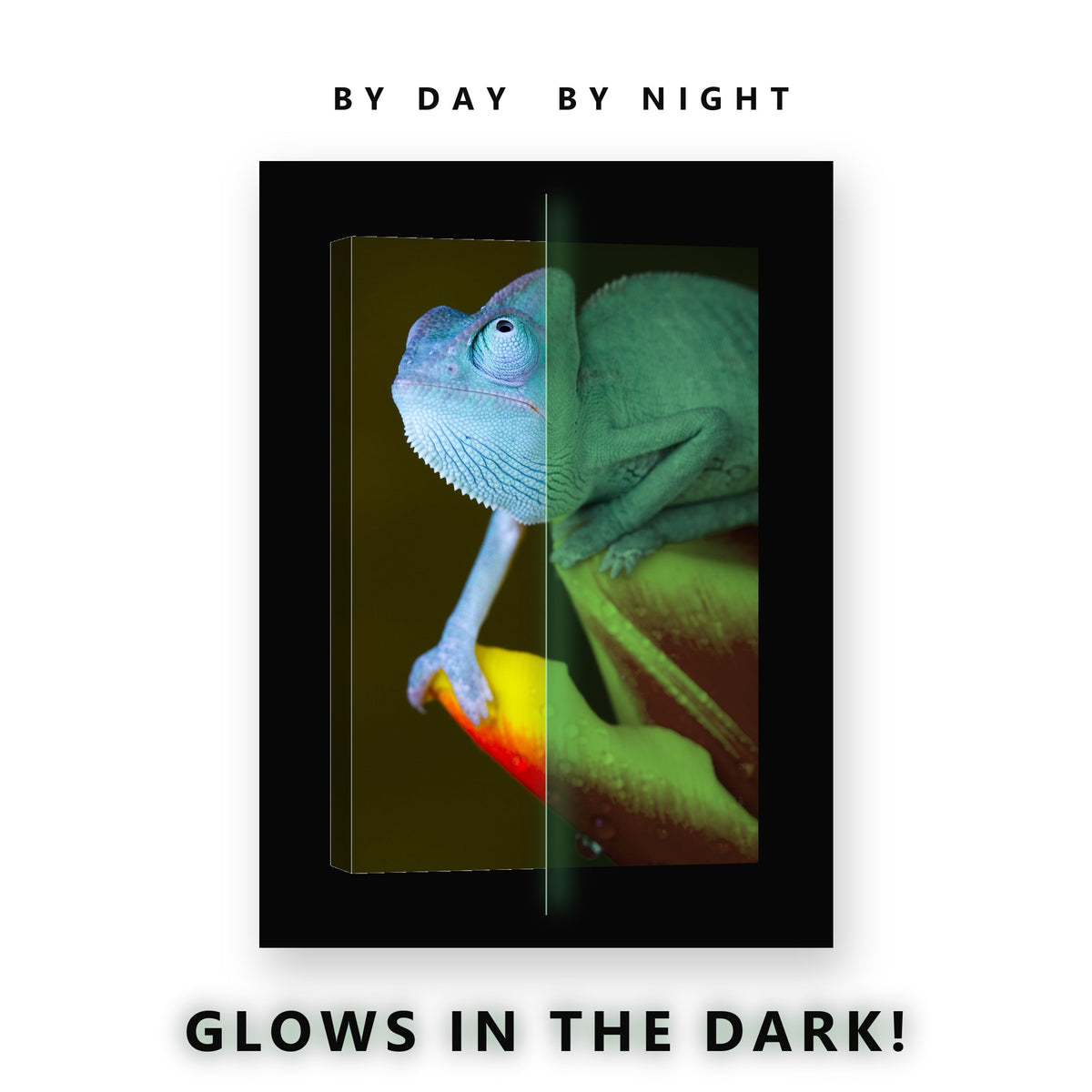 Blue Chameleon on a Flower Glow in the Dark Canvas Wall Art for Kids Room, glowing at night