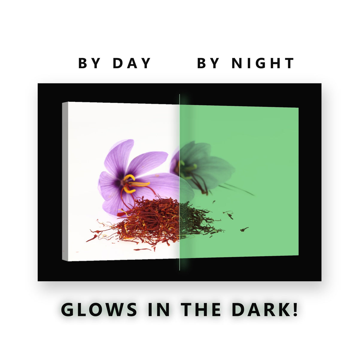 Purple Saffron Crocus Glow in the Dark Canvas Wall Art for Bedroom, glowing at night