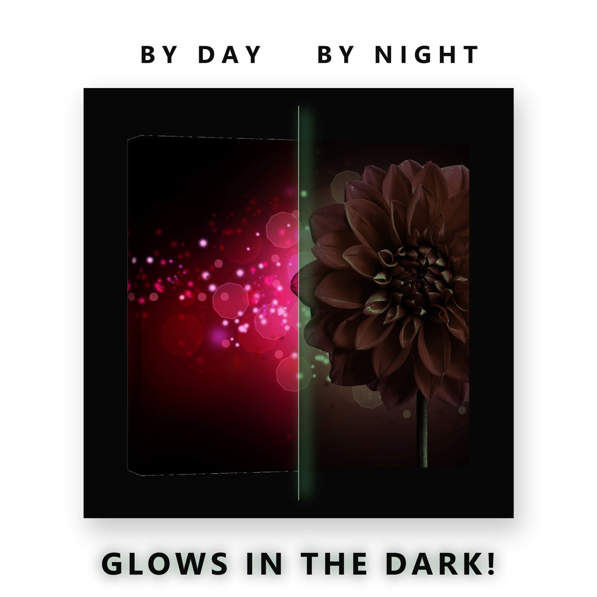 Red Dahlia on Dark Bokeh Glow in the Dark Canvas Wall Art for Bedroom, glowing at night