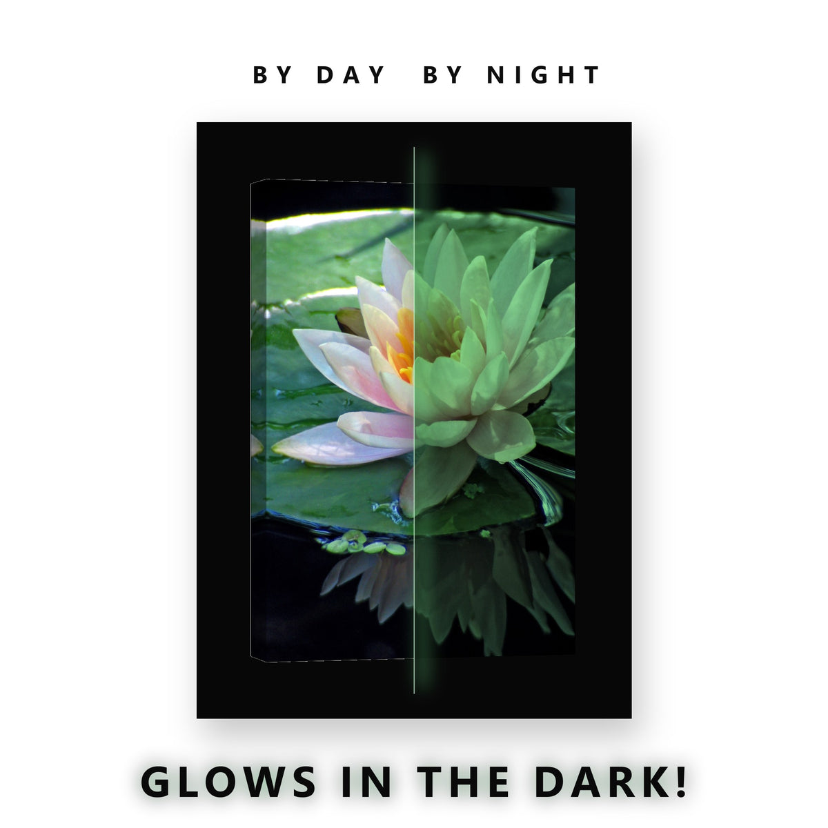 Pink Water Lily Reflection Glow in the Dark Canvas Wall Art Bathroom, glowing at night