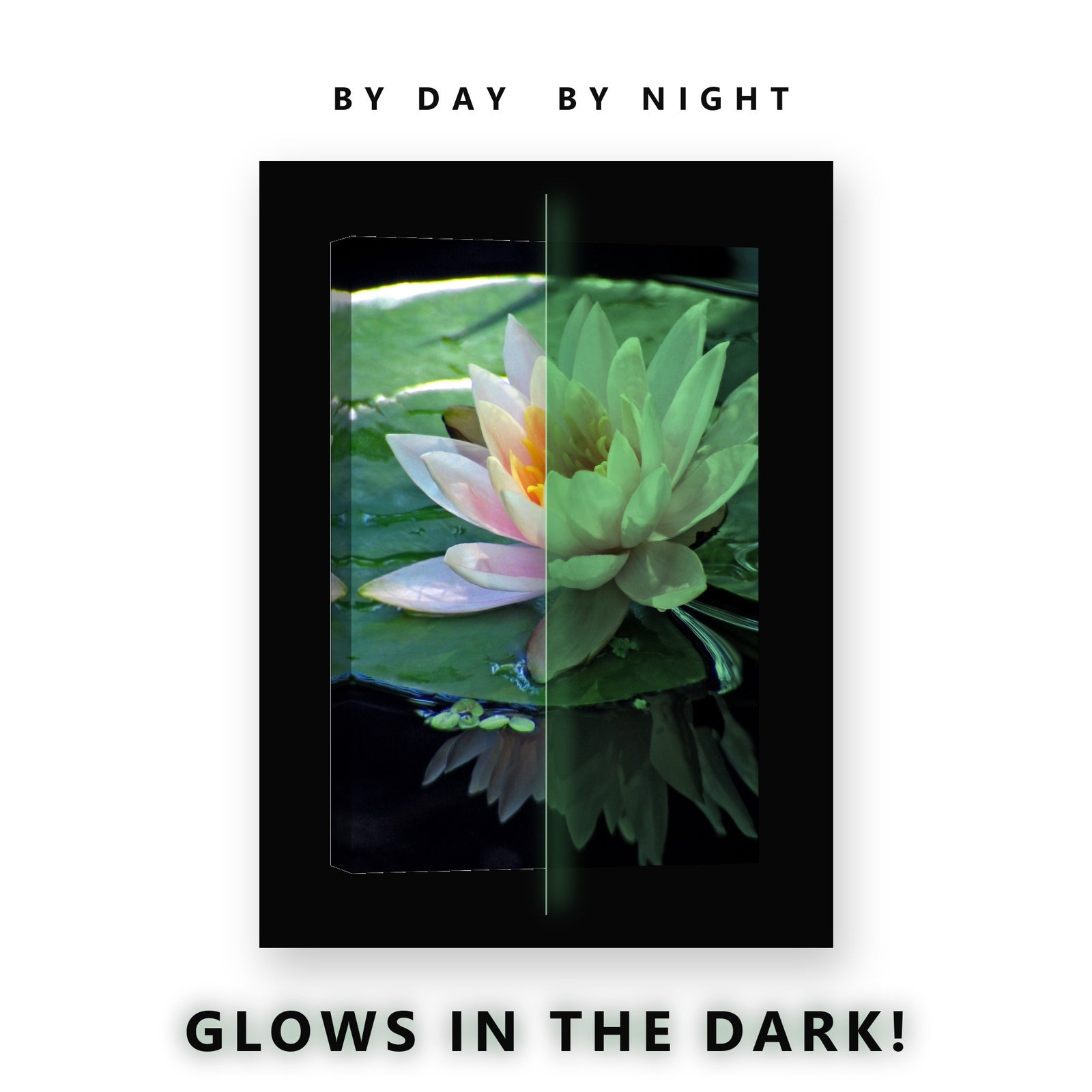 Pink Water Lily Reflection Glow in the Dark Canvas Wall Art Bathroom, glowing at night