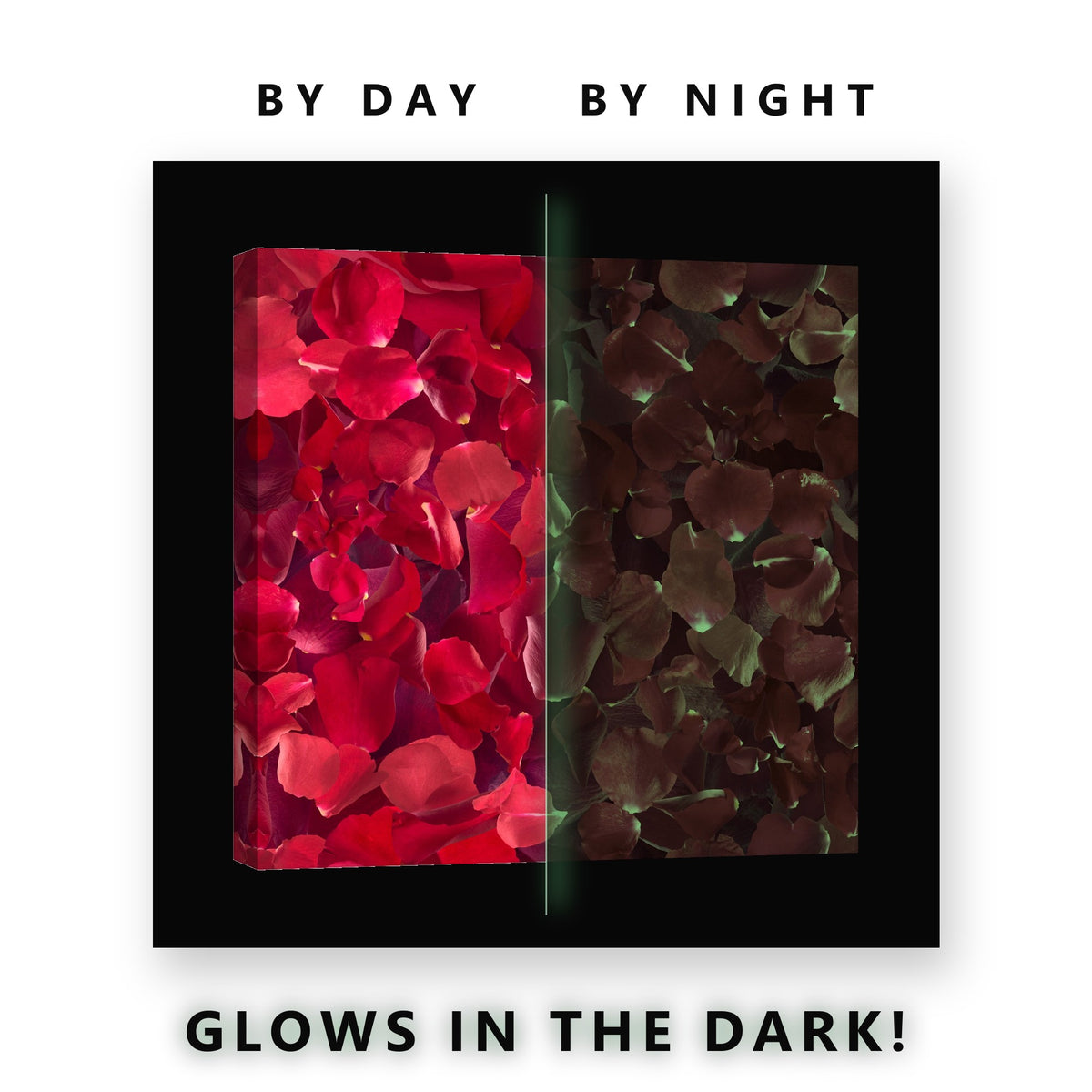 Red Rose Petals Carpet Glow in the Dark Canvas Wall Art for Bedroom, glowing at night
