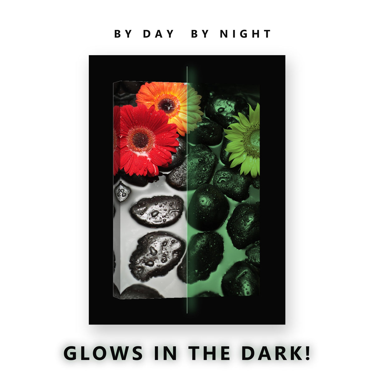 Gerbera and Sunflower on Zen Stones Glow in the Dark Canvas Wall Art Spa, glowing at night