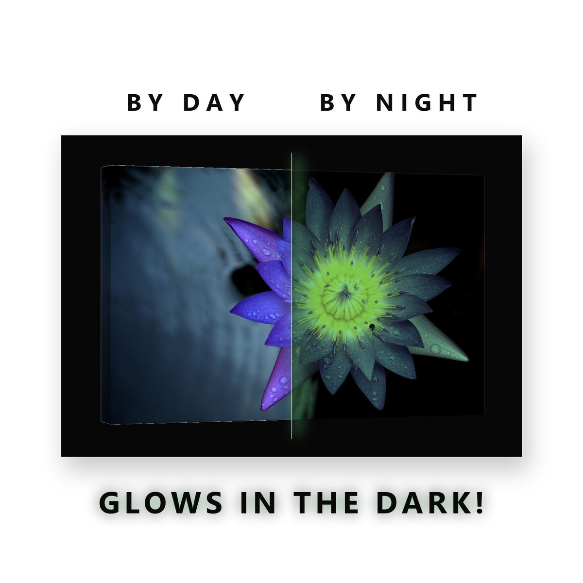 Blue Water Lily With Dew Glow in the Dark Canvas Wall Art for Bathroom, glowing at night