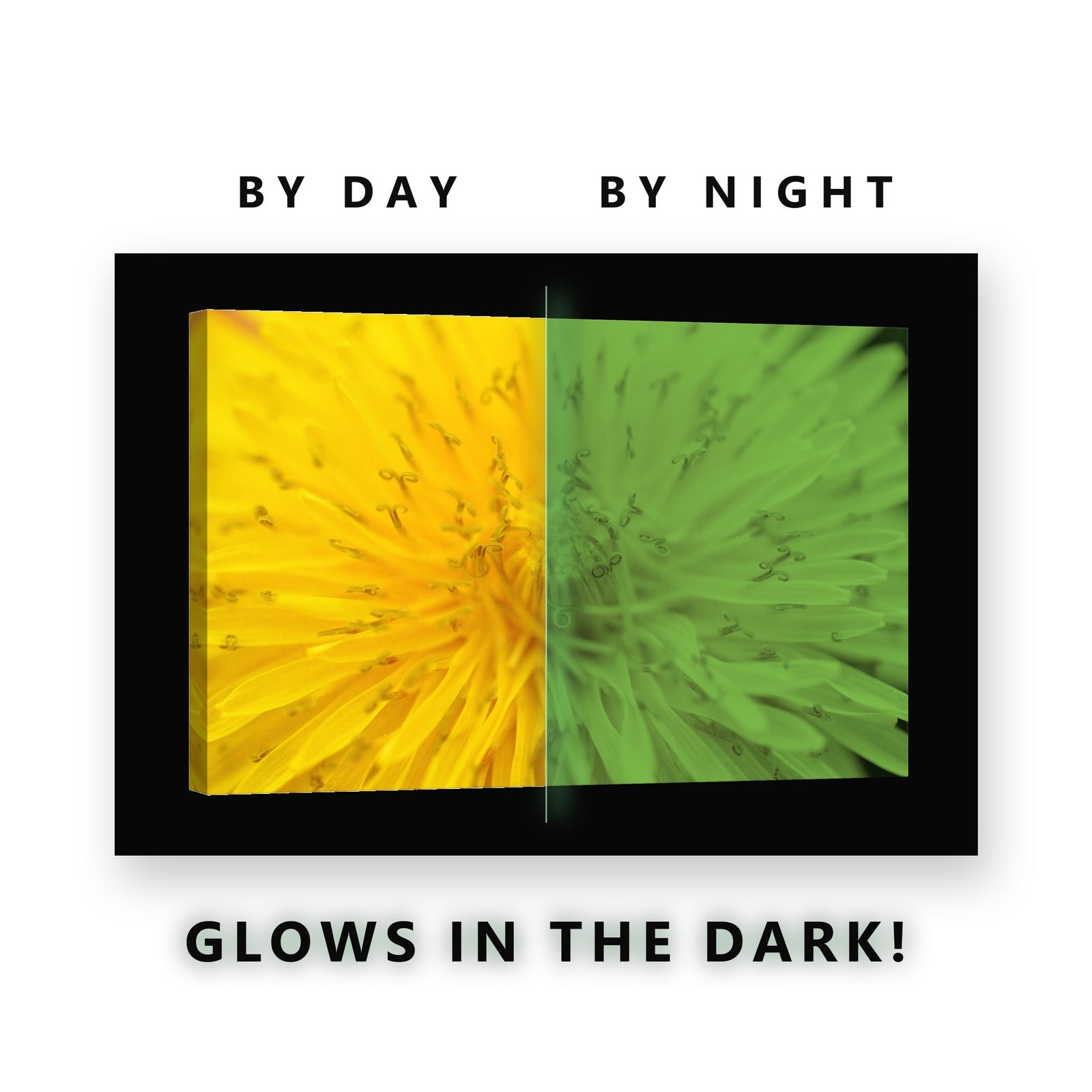 Yellow Dandelion Macro Glow in the Dark Canvas Wall Art for Kitchen, glowing at night