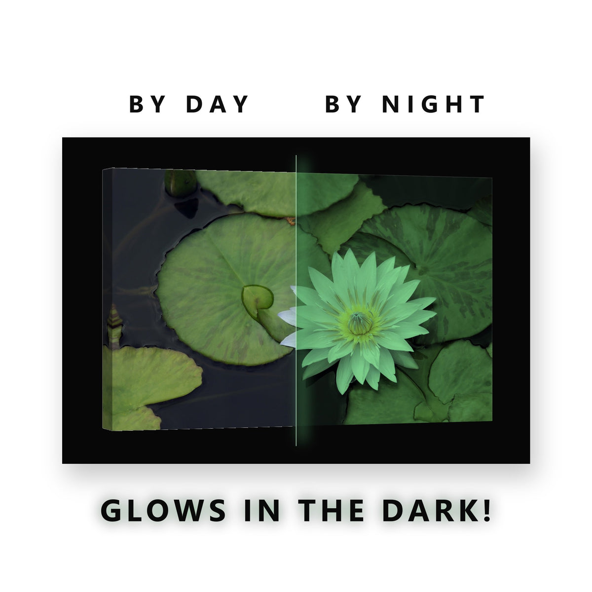 White Water Lily on Lily Pads Glow in the Dark Canvas Wall Art Bathroom, glowing at night