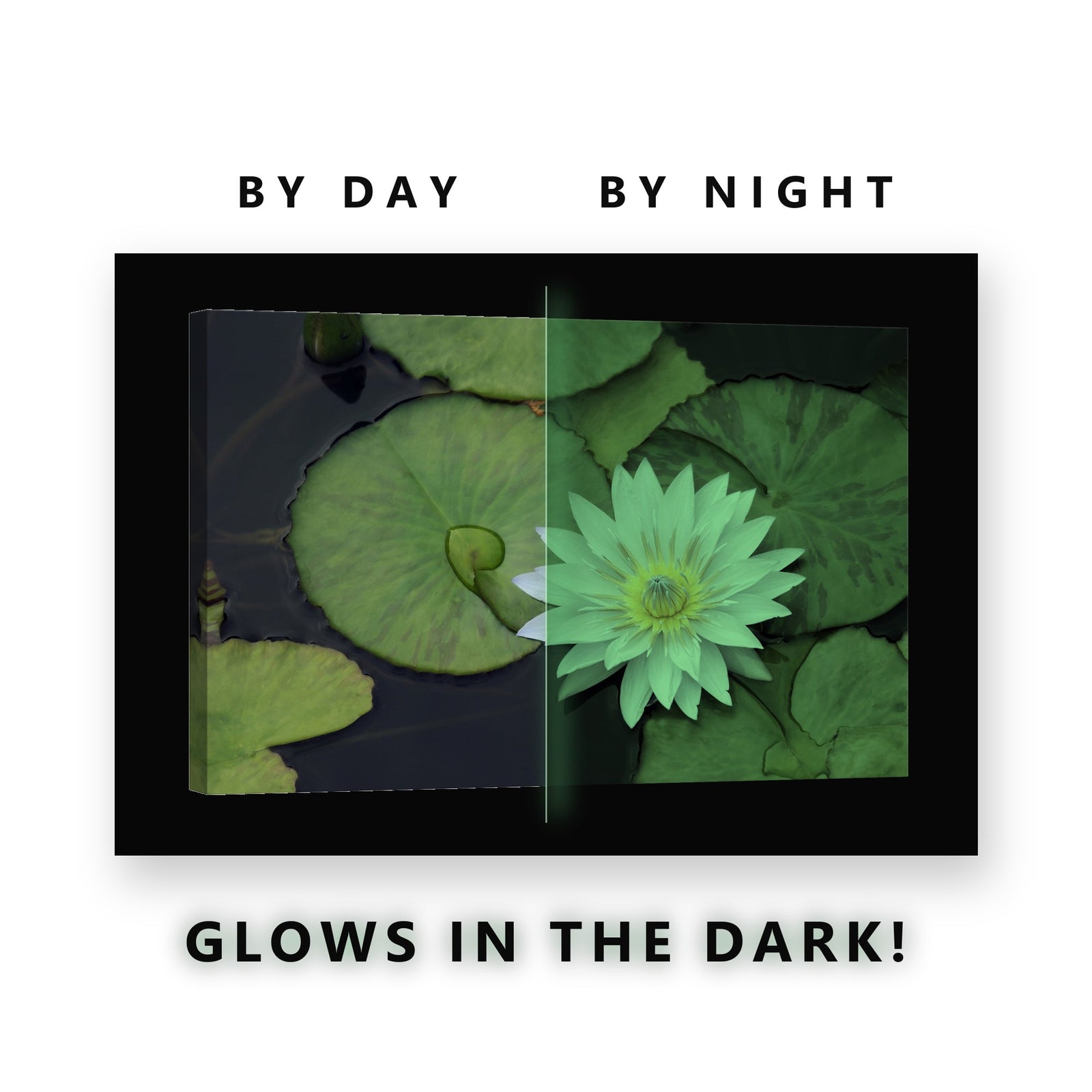 White Water Lily on Lily Pads Glow in the Dark Canvas Wall Art Bathroom, glowing at night