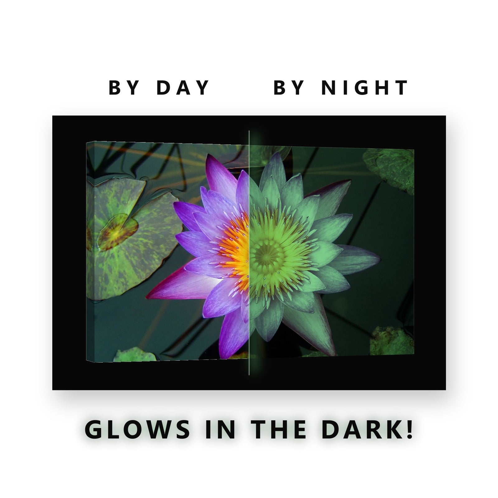 Violet Water Lily in Bloom Glow in the Dark Canvas Wall Art Bathroom, glowing at night