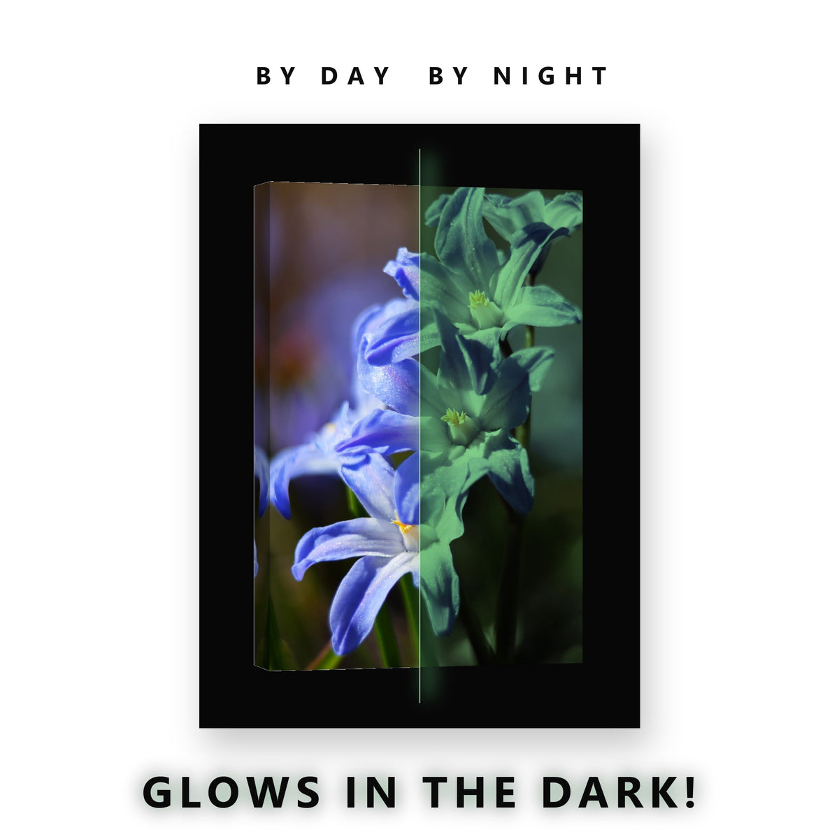 Blue Glory of the Snow Flowers Glow in the Dark Canvas Wall Art Bedroom, glowing at night
