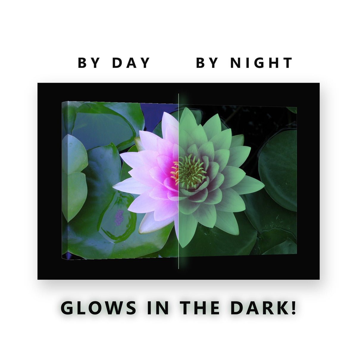Pink Water Lily on Green Pads Glow in the Dark Canvas Wall Art Bathroom, glowing at night