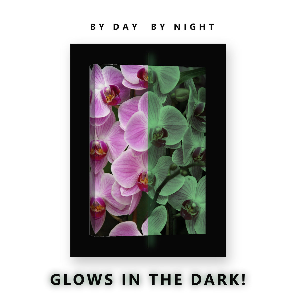 Pink Orchid Blossoms Glow in the Dark Canvas Wall Art for Living Room, glowing at night
