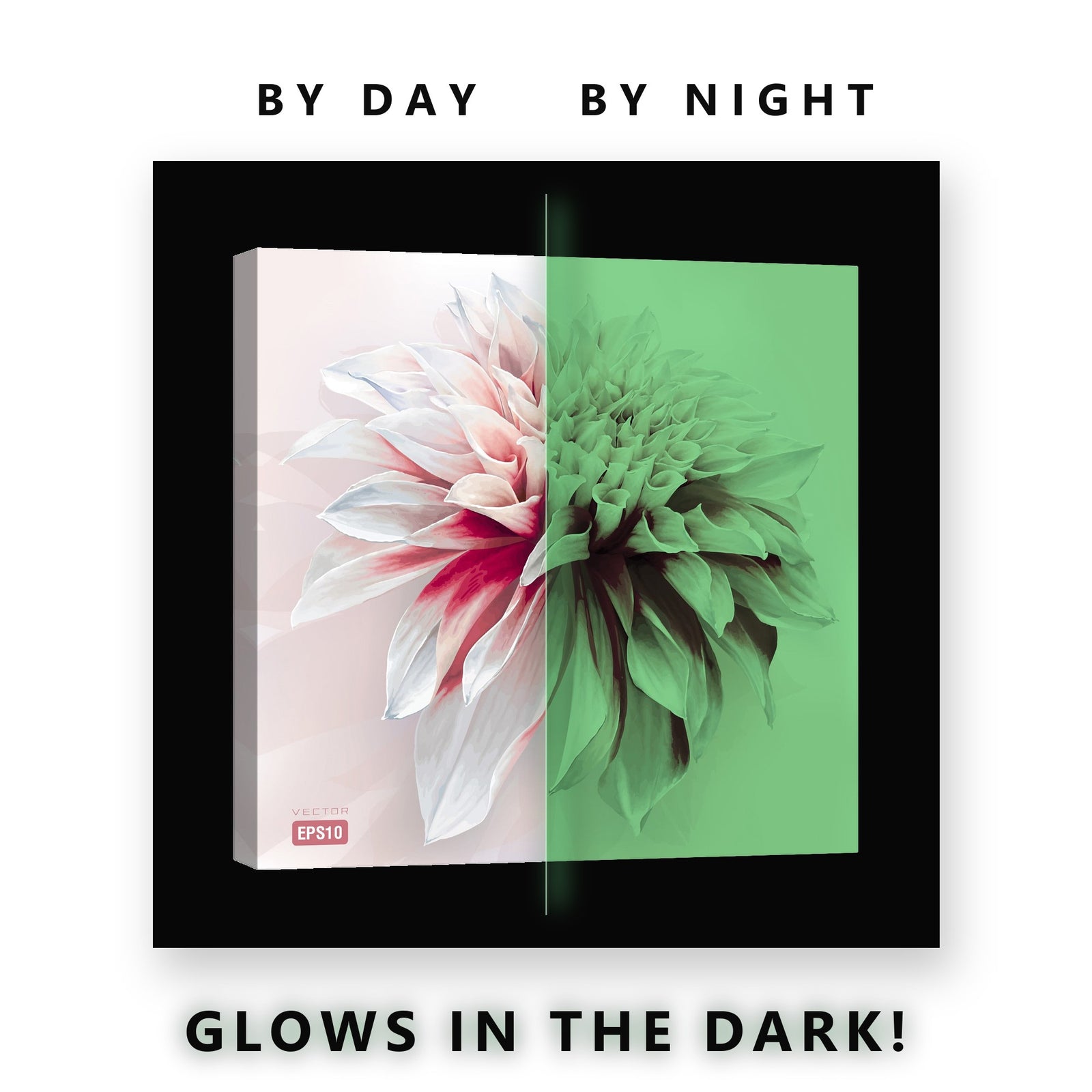 White and Red Dahlia Bloom Glow in the Dark Canvas Wall Art Bedroom, glowing at night