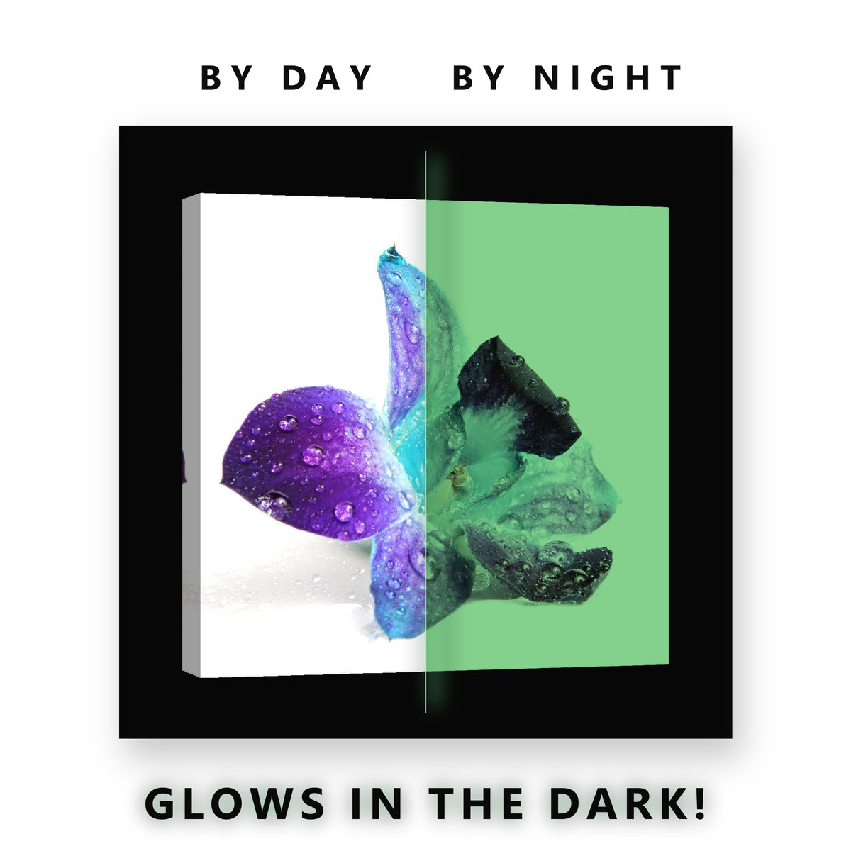 Purple Blue Orchid With Dew Glow in the Dark Canvas Wall Art Bathroom, glowing at night