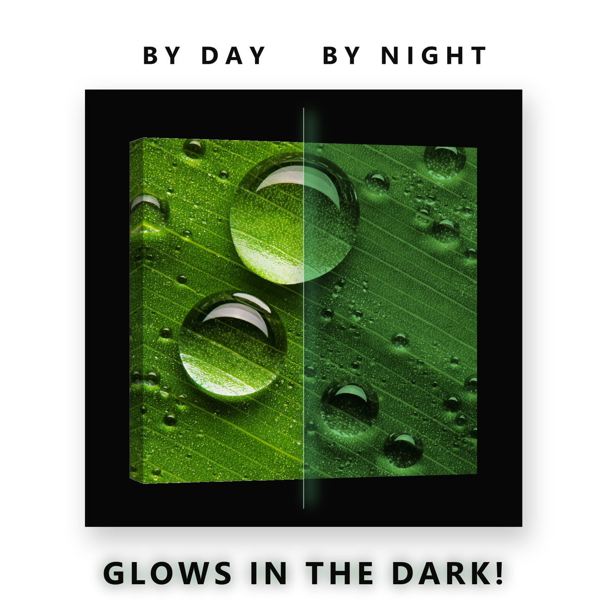 Water Drops on Green Leaf Glow in the Dark Canvas Wall Art Bathroom, glowing at night