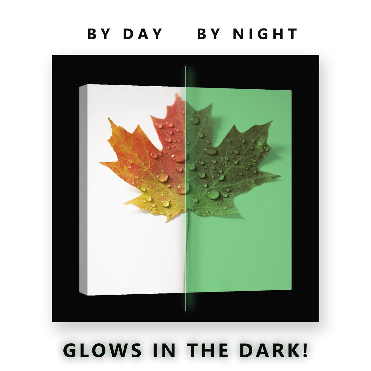 Autumn Maple Leaf With Dew Glow in the Dark Canvas Wall Art for Kitchen, glowing at night
