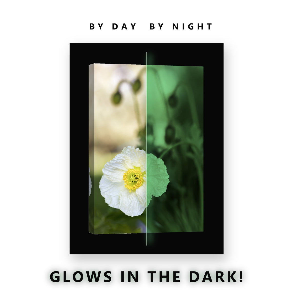 White Poppy and Buds Glow in the Dark Canvas Wall Art for Bedroom, glowing at night