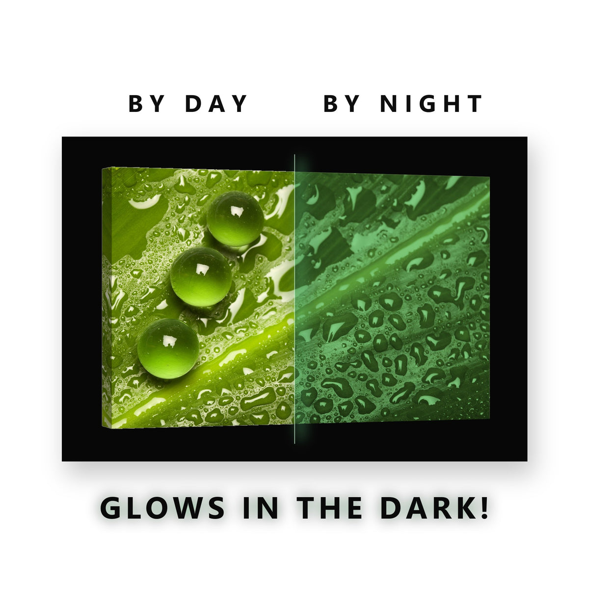 Three Water Drops on Leaf Glow in the Dark Canvas Wall Art Bathroom, glowing at night