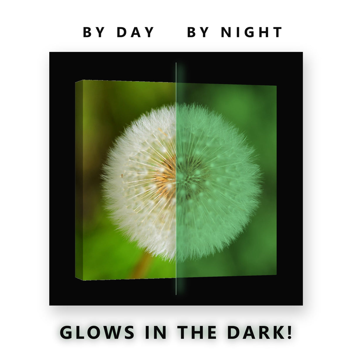 Dandelion Clock on Green Glow in the Dark Canvas Wall Art for Bedroom, glowing at night