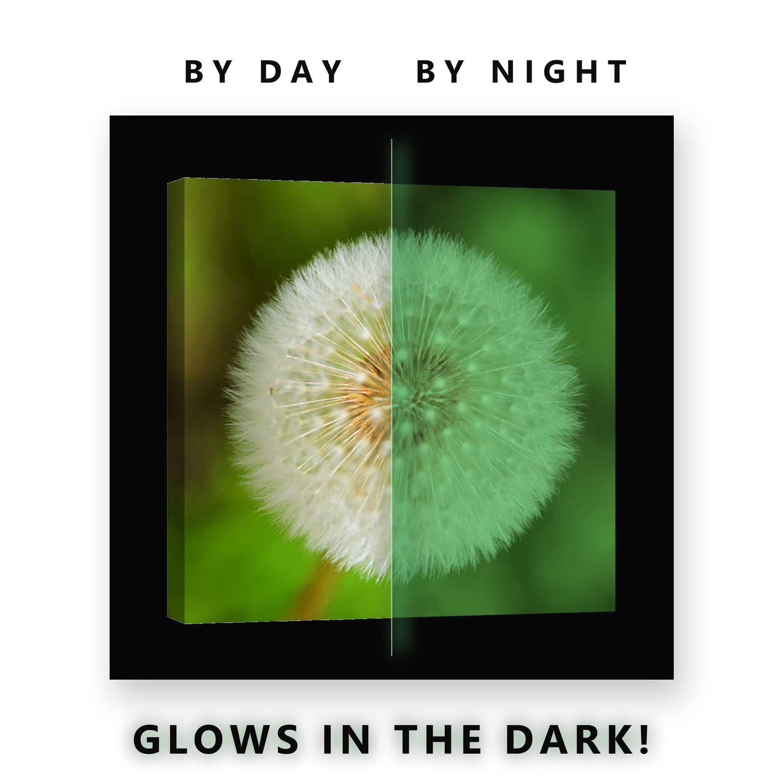 Dandelion Clock on Green Glow in the Dark Canvas Wall Art for Bedroom, glowing at night
