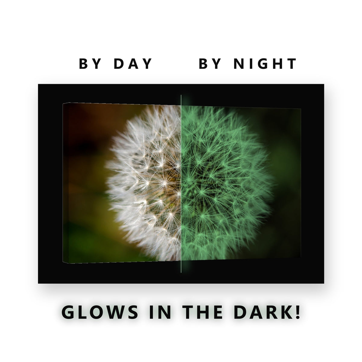 Dandelion Seed Head Glow in the Dark Canvas Wall Art for Living Room, glowing at night