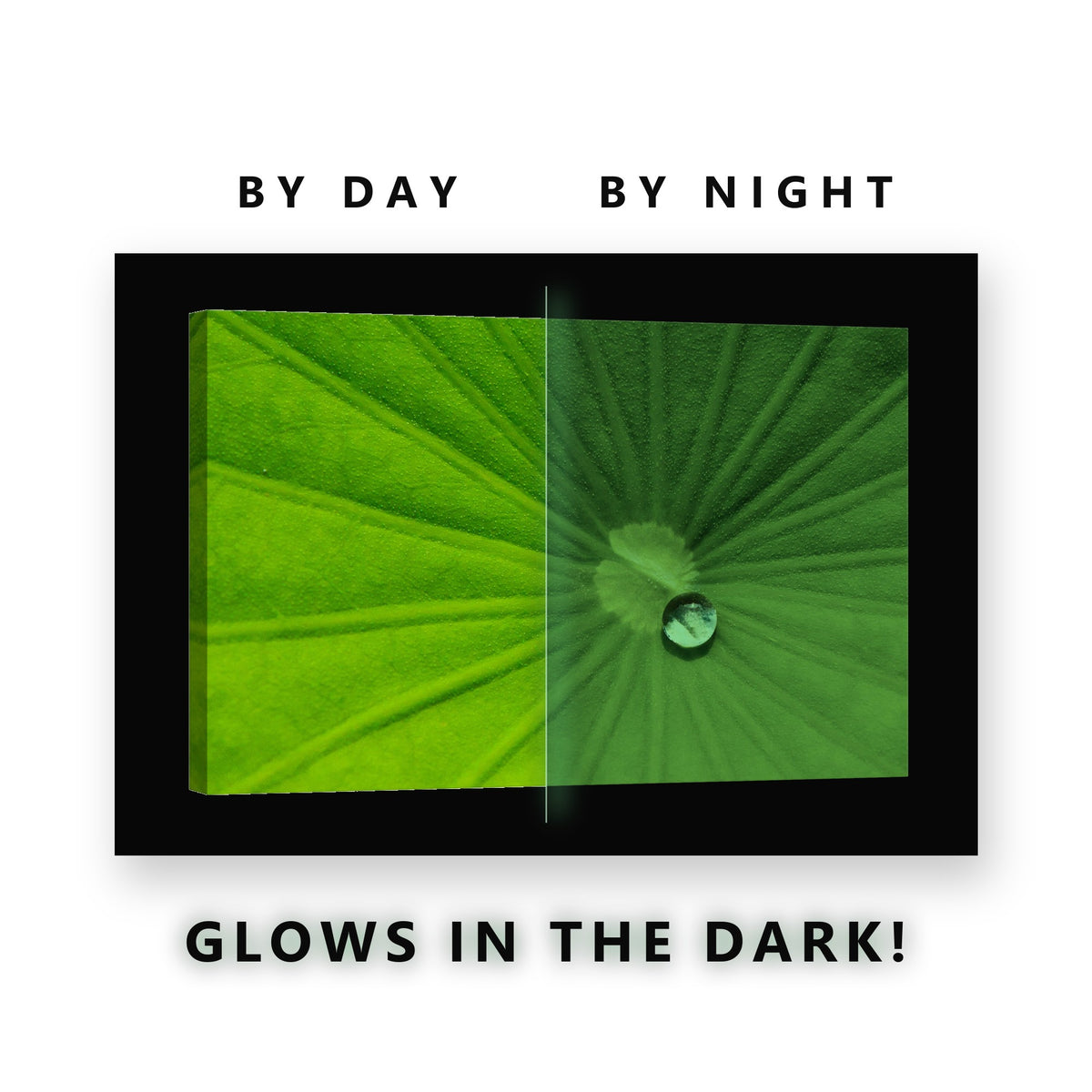 Water Drop on Lotus Leaf Glow in the Dark Canvas Wall Art Bathroom, glowing at night