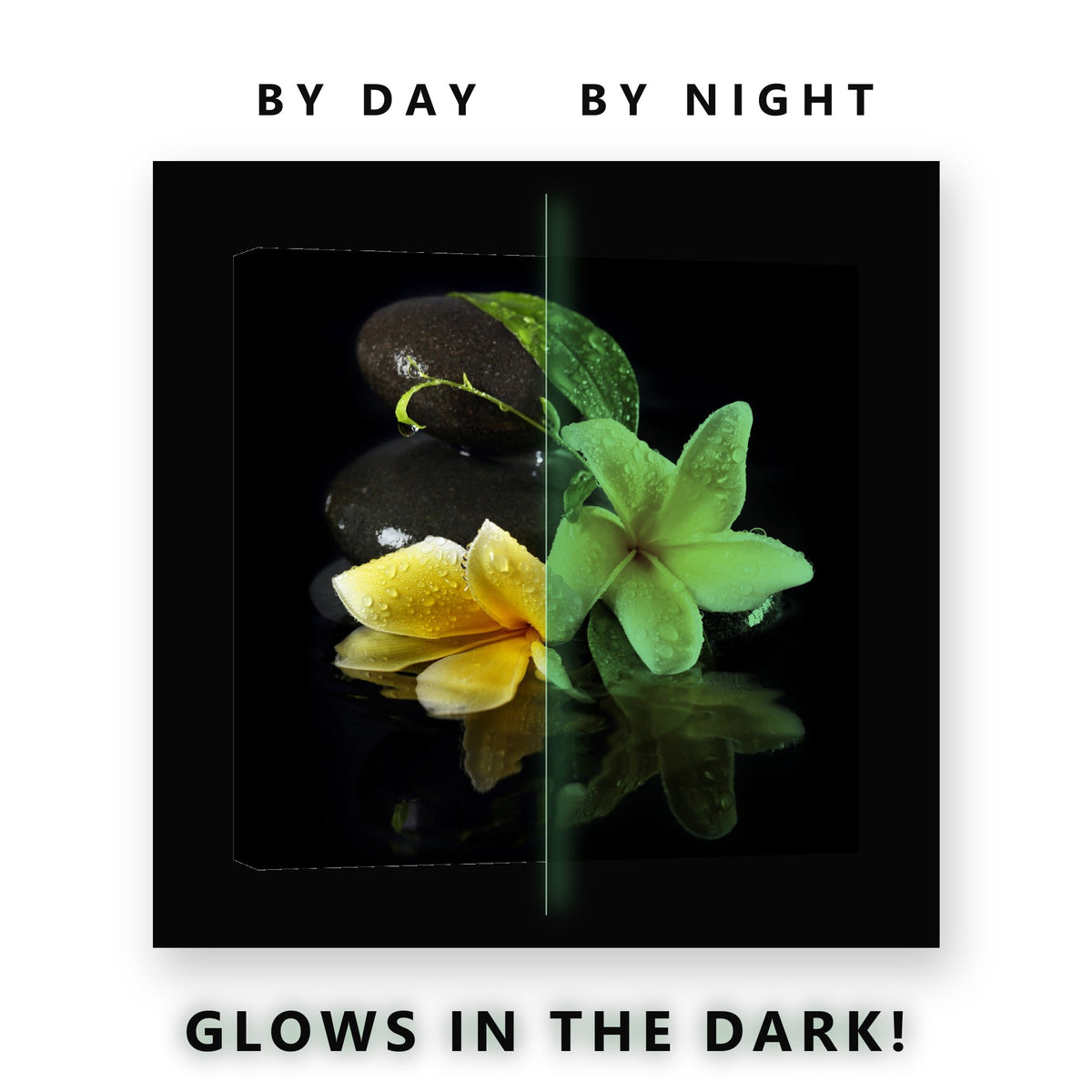 Yellow Frangipani and Zen Stones Glow in the Dark Canvas Wall Art Spa, glowing at night