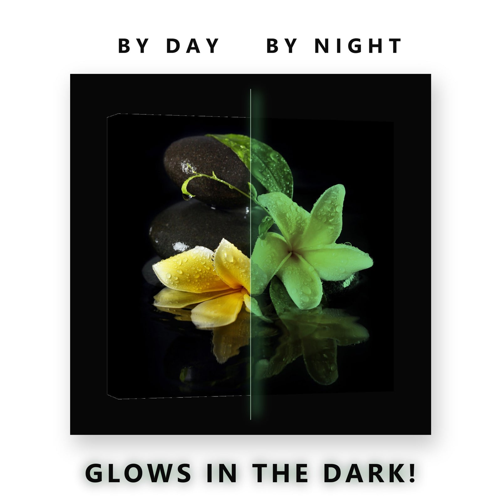 Yellow Frangipani and Zen Stones Glow in the Dark Canvas Wall Art Spa, glowing at night