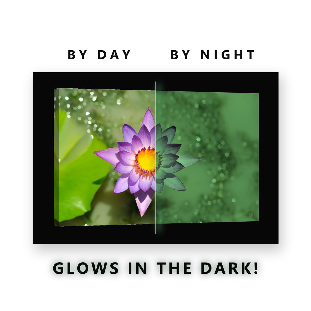Purple Water Lily Bloom Glow in the Dark Canvas Wall Art for Bathroom, glowing at night