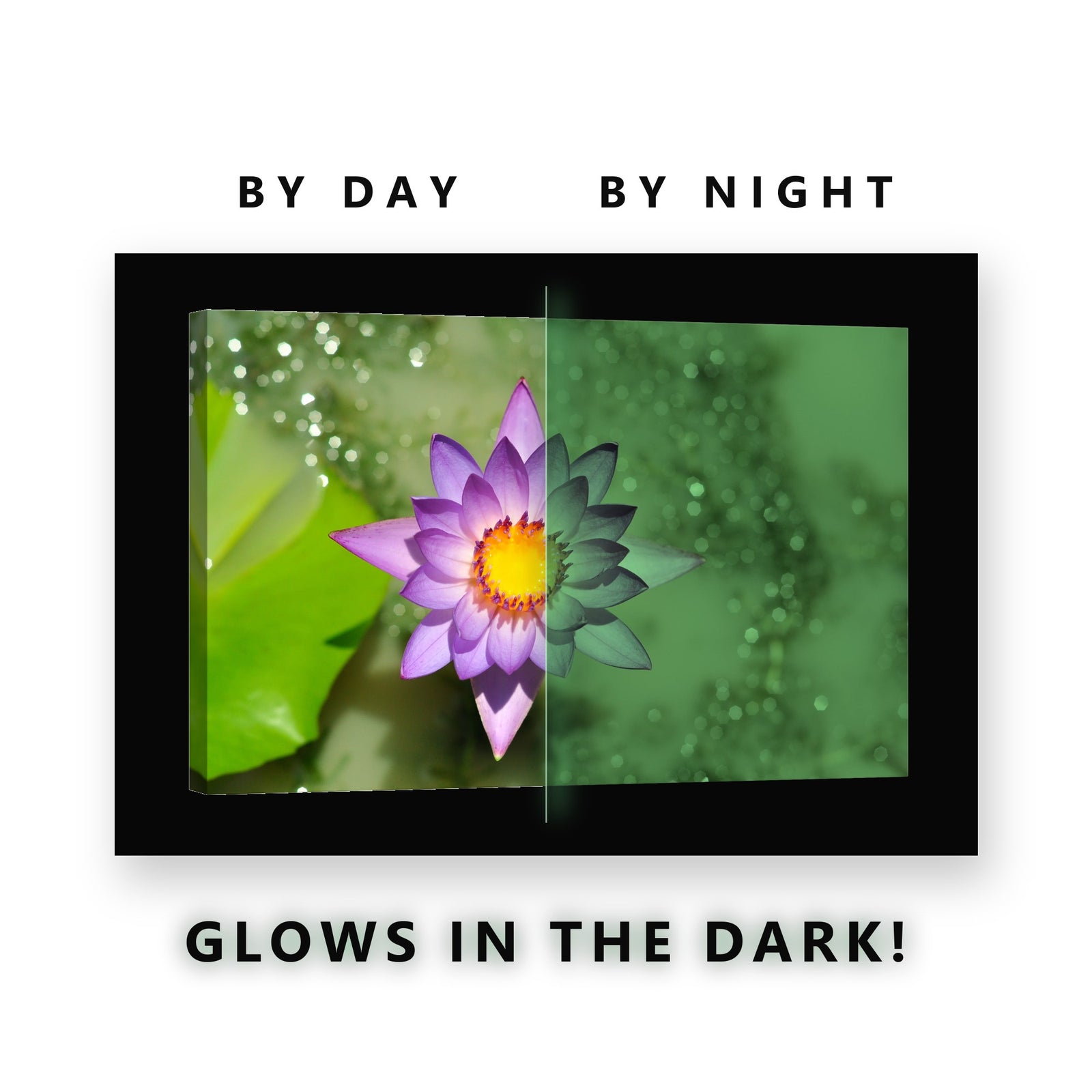 Purple Water Lily Bloom Glow in the Dark Canvas Wall Art for Bathroom, glowing at night