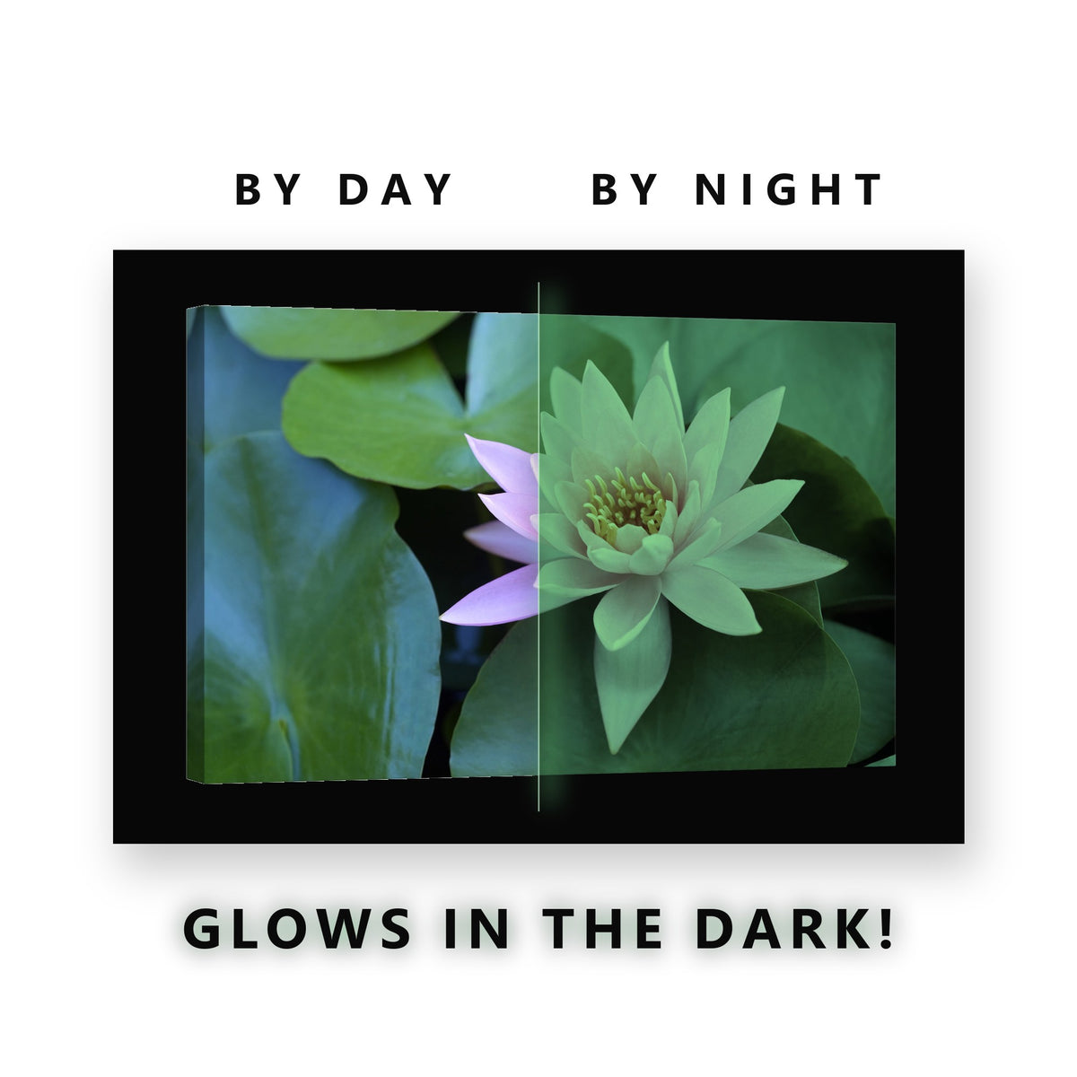Pink Lotus on Lily Pads Glow in the Dark Canvas Wall Art for Bathroom, glowing at night