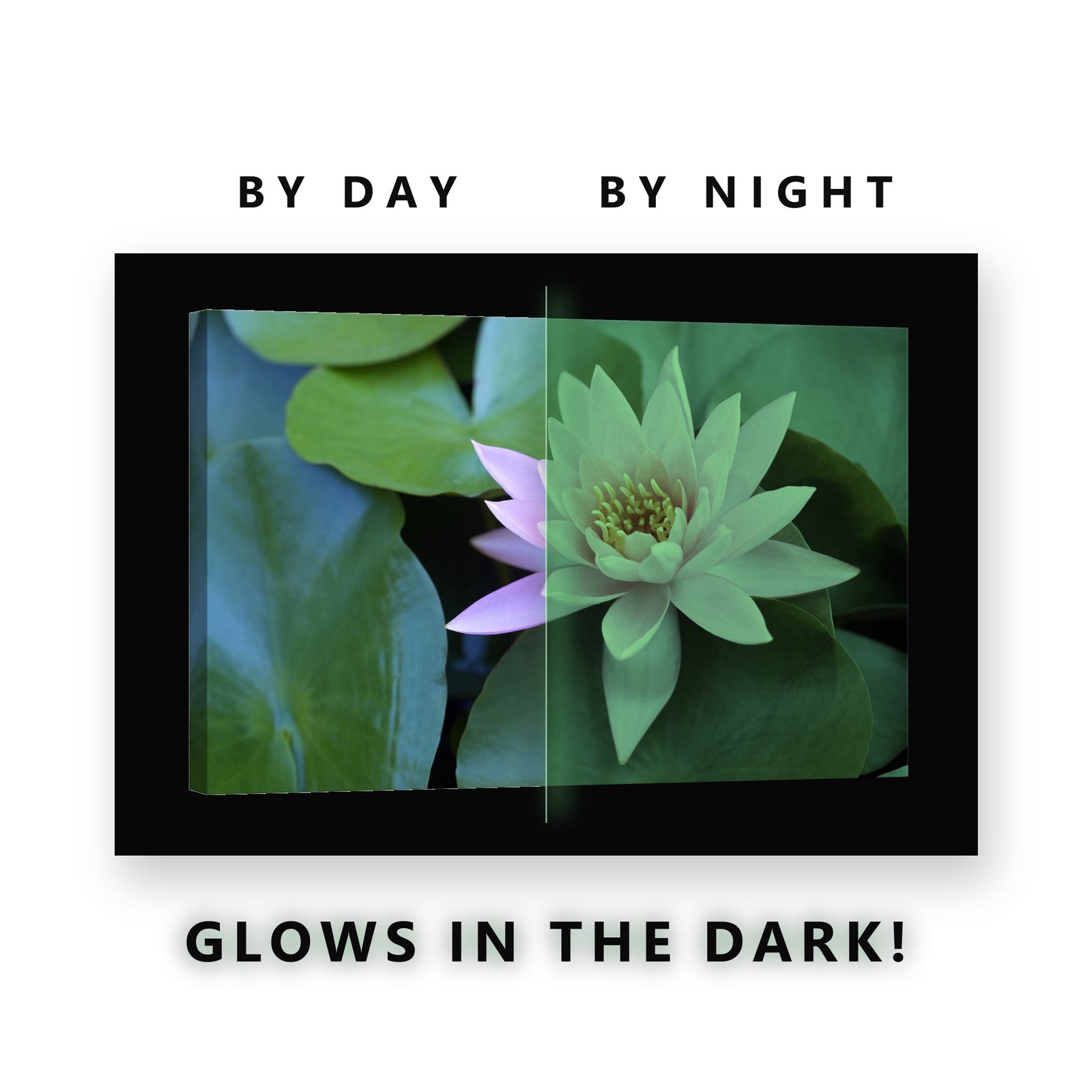 Pink Lotus on Lily Pads Glow in the Dark Canvas Wall Art for Bathroom, glowing at night
