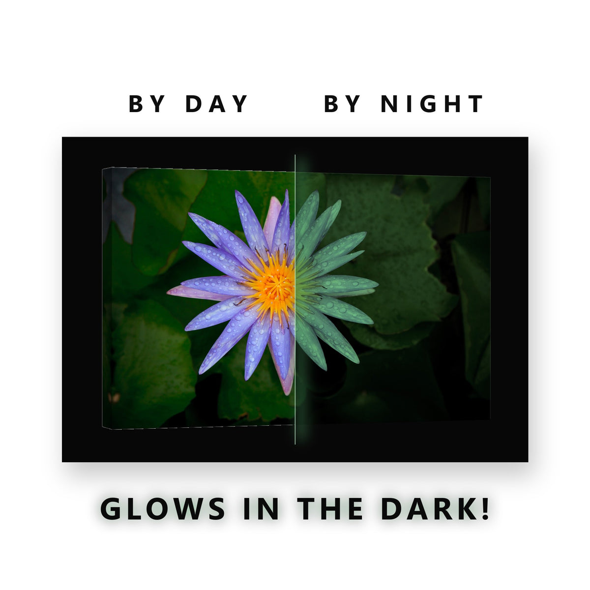 Blue Star Water Lily Glow in the Dark Canvas Wall Art for Bathroom, glowing at night