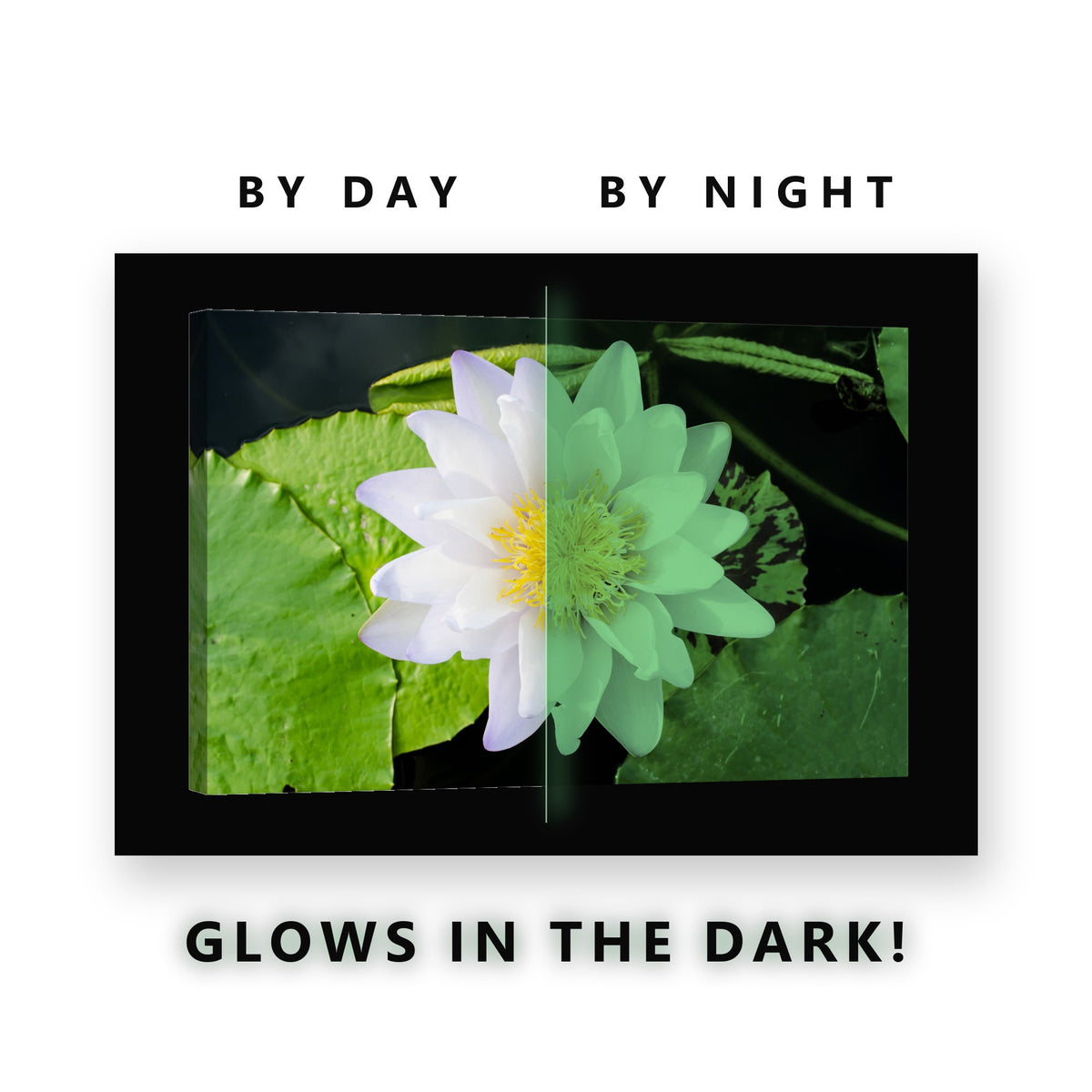 White Lotus on Lily Pads Glow in the Dark Canvas Wall Art for Bathroom, glowing at night