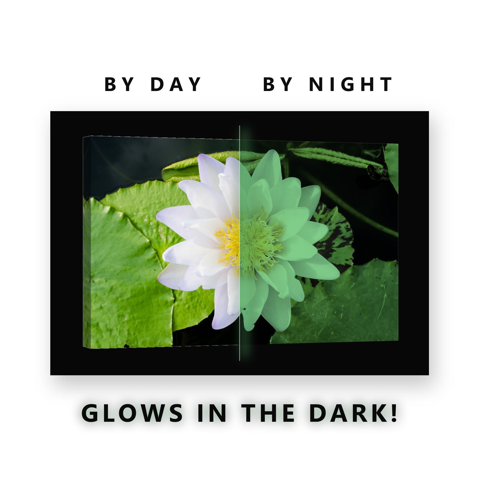 White Lotus on Lily Pads Glow in the Dark Canvas Wall Art for Bathroom, glowing at night