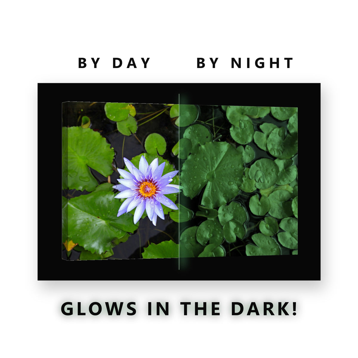 Violet Lotus in the Pond Glow in the Dark Canvas Wall Art for Bathroom, glowing at night