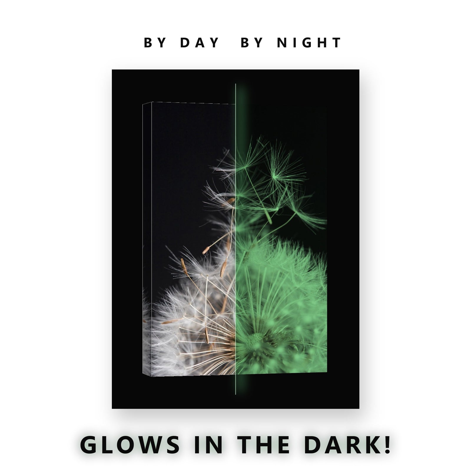 Dandelion Seeds in the Wind Glow in the Dark Canvas Wall Art Bedroom, glowing at night