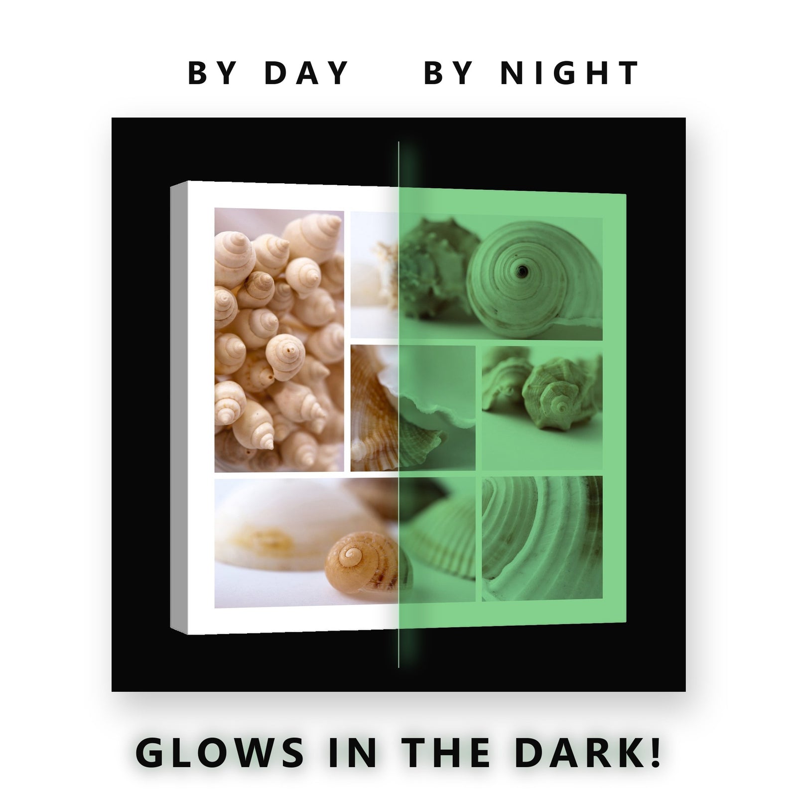 Seashell Collage in Cream Glow in the Dark Canvas Wall Art for Bathroom, glowing at night