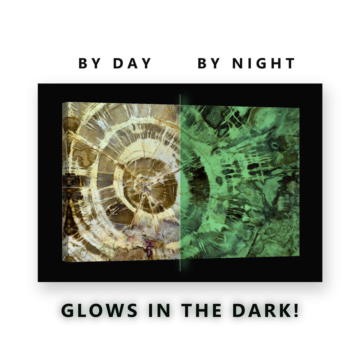 Petrified Wood Rings Glow in the Dark Canvas Wall Art for Living Room, glowing at night