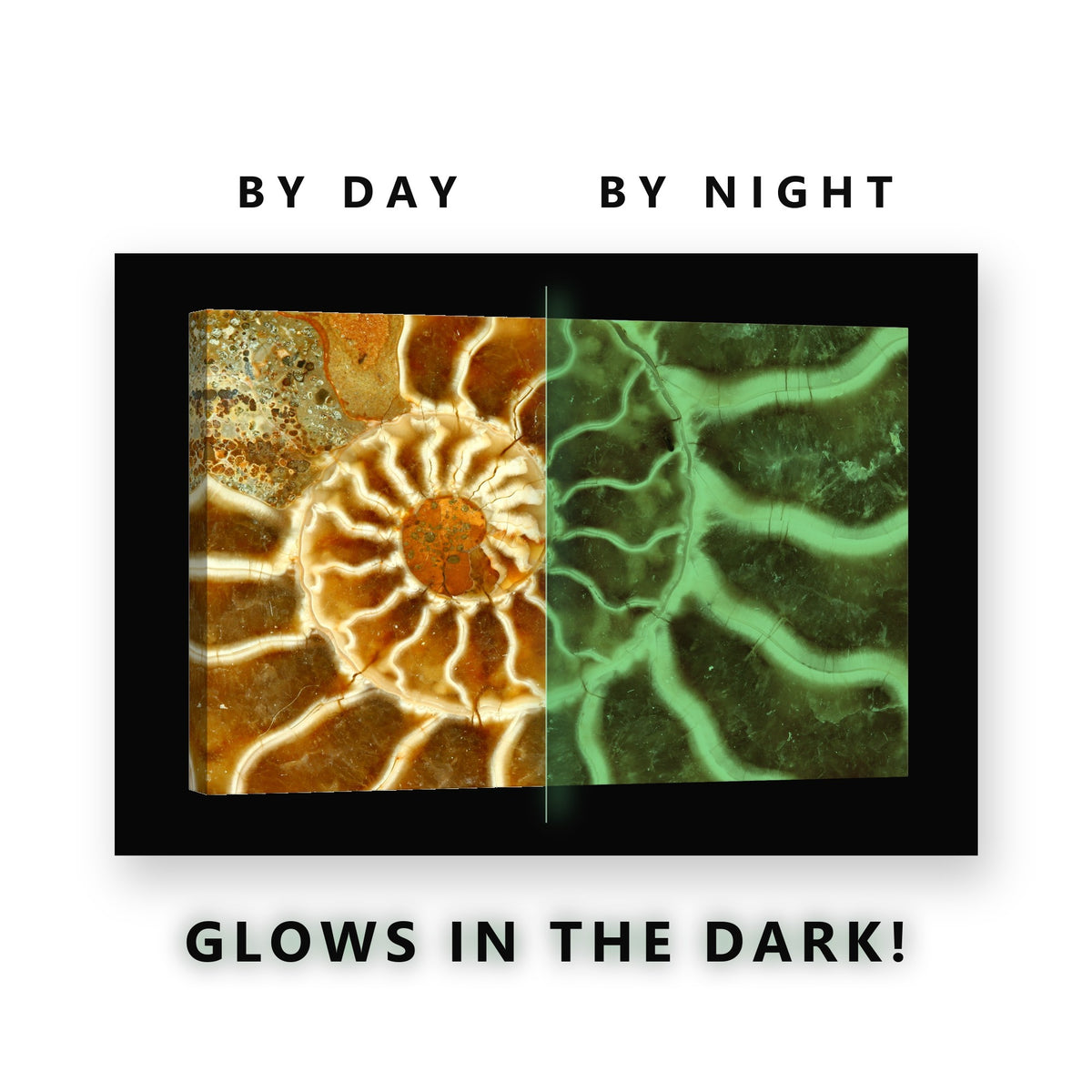 Amber Ammonite Fossil Glow in the Dark Canvas Wall Art for Living Room, glowing at night