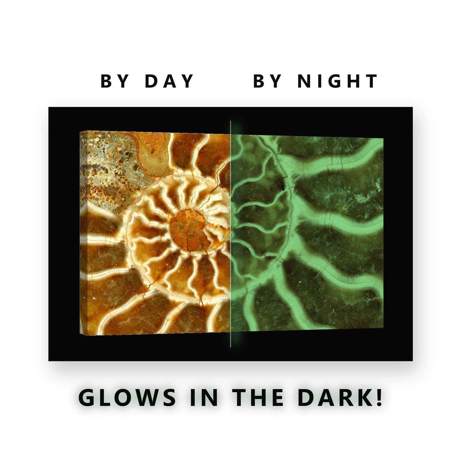 Amber Ammonite Fossil Glow in the Dark Canvas Wall Art for Living Room, glowing at night