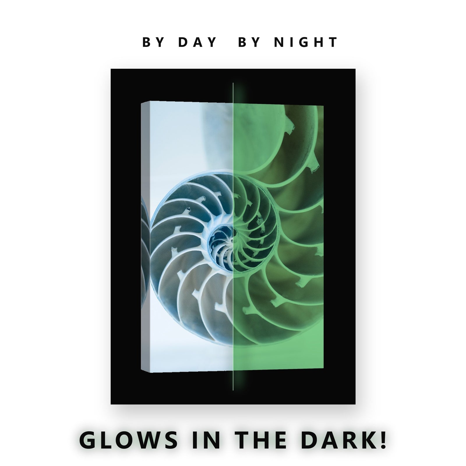 Nautilus Shell Spiral in Blue Glow in the Dark Canvas Wall Art Bathroom, glowing at night